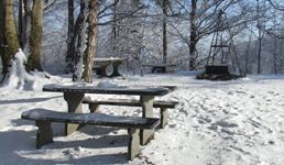 [Hier fehlt das Bild...]