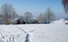 [Hier fehlt das Bild...]