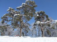 [Hier fehlt das Bild...]