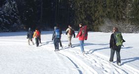 [Hier fehlt das Bild...]