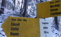 [Hier fehlt das Bild...]