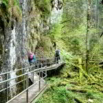 [Hier fehlt das Bild...]