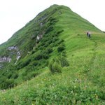 [Hier fehlt das Bild...]