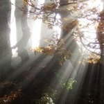 [Hier fehlt das Bild...]