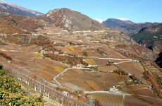 [Hier fehlt das Bild...]