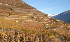 [Hier fehlt das Bild...]