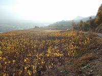 [Hier fehlt das Bild...]