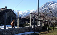 [Hier fehlt das Bild...]