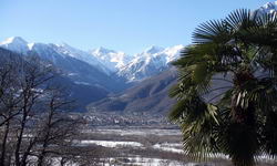 [Hier fehlt das Bild...]