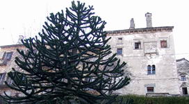 [Hier fehlt das Bild...]