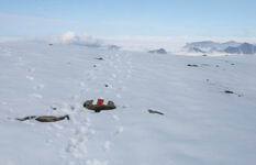 [Hier fehlt das Bild...]