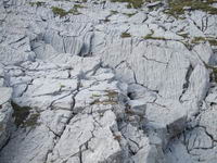 [Hier fehlt das Bild...]