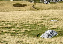 [Hier fehlt das Bild...]