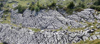 [Hier fehlt das Bild...]