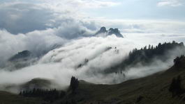 [Hier fehlt das Bild...]