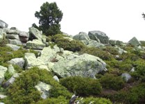 [Hier fehlt das Bild...]