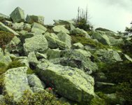 [Hier fehlt das Bild...]