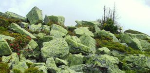 [Hier fehlt das Bild...]