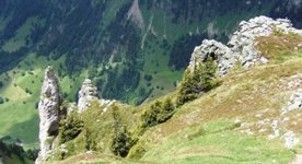 [Hier fehlt das Bild...]