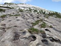 [Hier fehlt das Bild...]