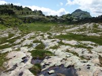 [Hier fehlt das Bild...]