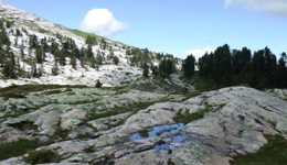 [Hier fehlt das Bild...]