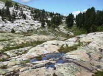 [Hier fehlt das Bild...]