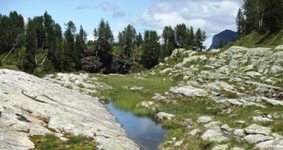 [Hier fehlt das Bild...]