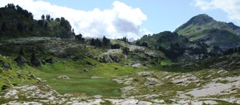 [Hier fehlt das Bild...]