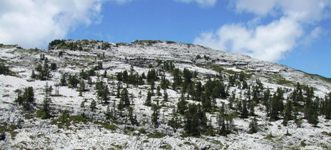 [Hier fehlt das Bild...]