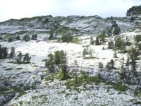 [Hier fehlt das Bild...]