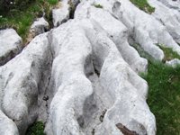 [Hier fehlt das Bild...]