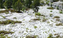 [Hier fehlt das Bild...]