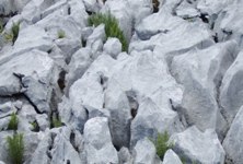 [Hier fehlt das Bild...]