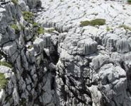 [Hier fehlt das Bild...]