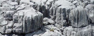 [Hier fehlt das Bild...]