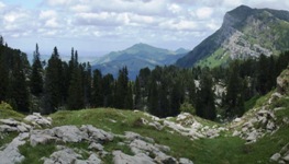 [Hier fehlt das Bild...]