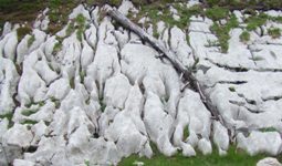 [Hier fehlt das Bild...]