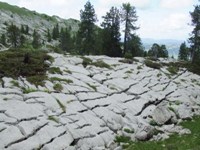 [Hier fehlt das Bild...]