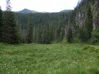 [Hier fehlt das Bild...]