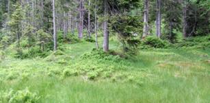 [Hier fehlt das Bild...]