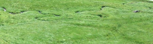 [Hier fehlt das Bild...]