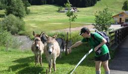 [Hier fehlt das Bild...]