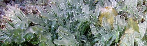 [Hier fehlt das Bild...]