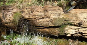 [Hier fehlt das Bild...]