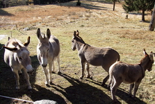 [Hier fehlt das Bild...]