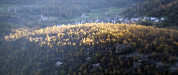 [Hier fehlt das Bild...]