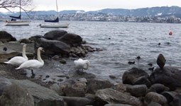 [Hier fehlt das Bild...]