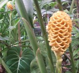 [Hier fehlt das Bild...]