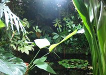 [Hier fehlt das Bild...]